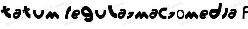 Tatum RegularMacromedia Fontographe字体转换
